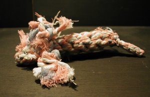 ���^�R�b�g��