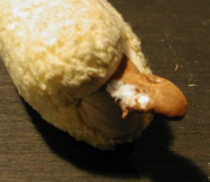 �z�b�g�h�b�N