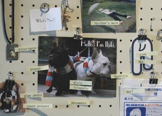 �t�����`�u���h�b�N�@���т��ƃA���h�E�̐e�o�J�y�[�W�ł��B