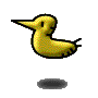 pretty duck